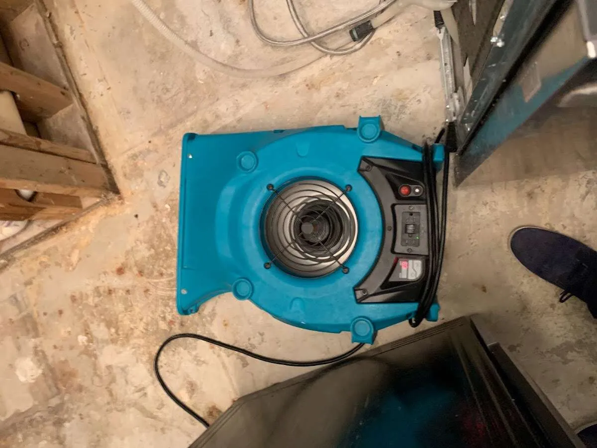 Air mover drying equipment for Mold Remediation & Removal in Cheektowaga