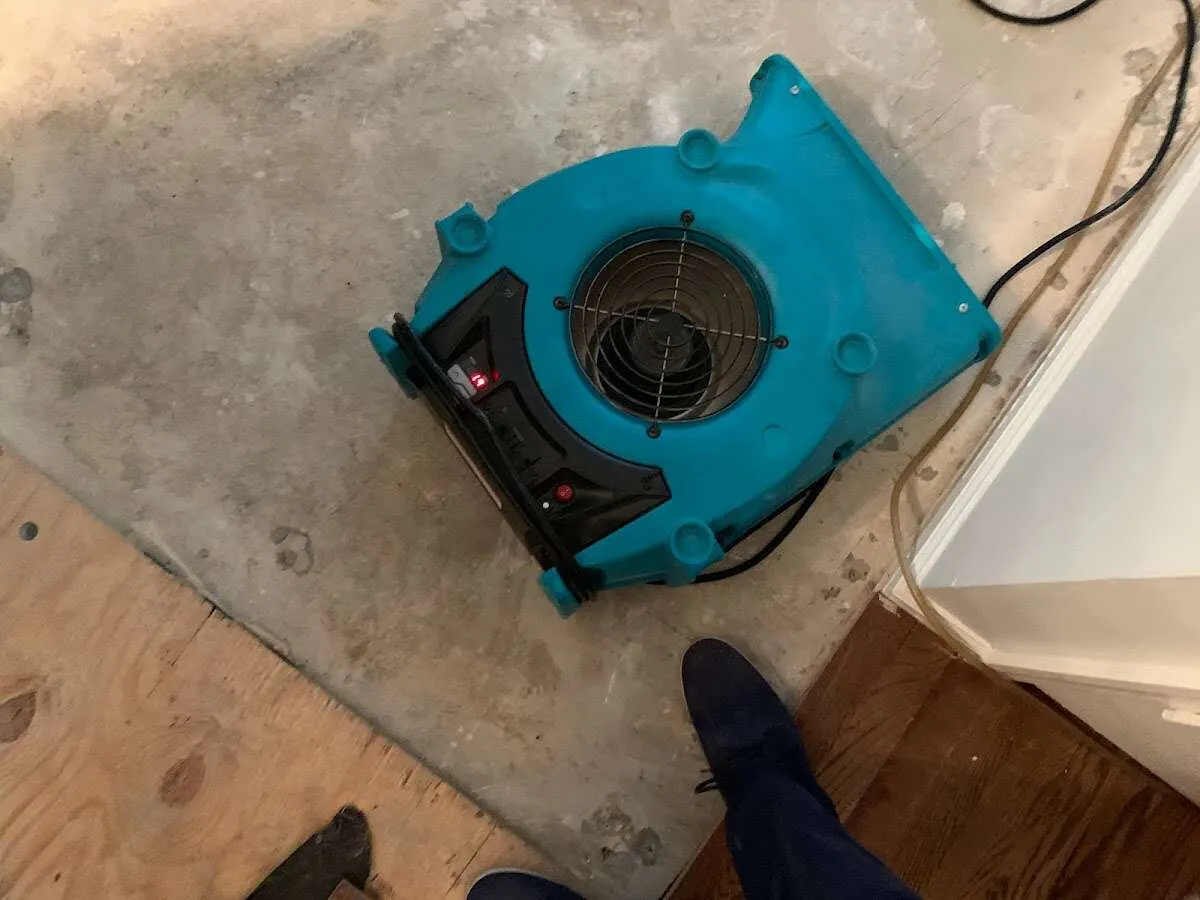 Air mover drying subfloor during Leak Detection & Repair in Cheektowaga